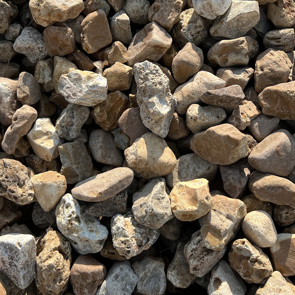 Large Merrimac : 1 - 2.5 Inch