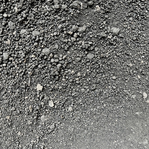 Topsoil Pulverized