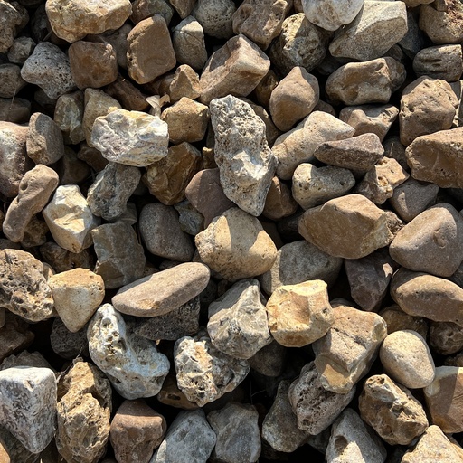 Large Merrimac : 1 - 2.5 Inch