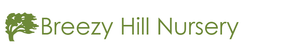 Breezy Hill Nursery