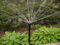 landscape maintenance irrigation