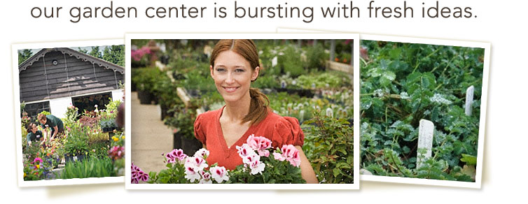 promo-gardencenter