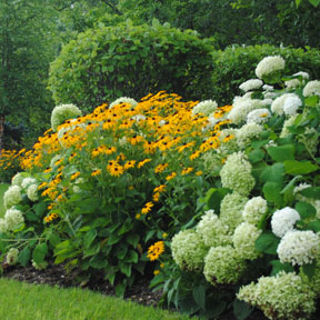 Breezy Hill Border Garden