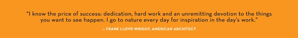 Frank Lloyd Wright ambientbanner-quote