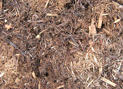 Western Red Cedar Mulch