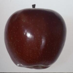 Red Delicious Apple