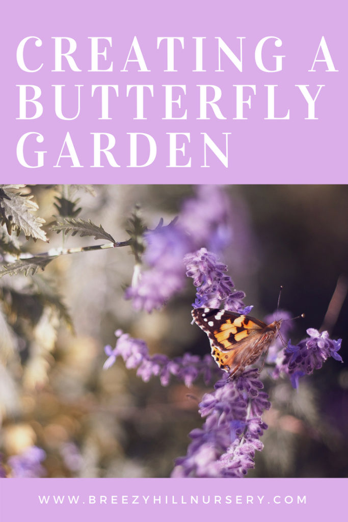 Creating a Butterfly Garden