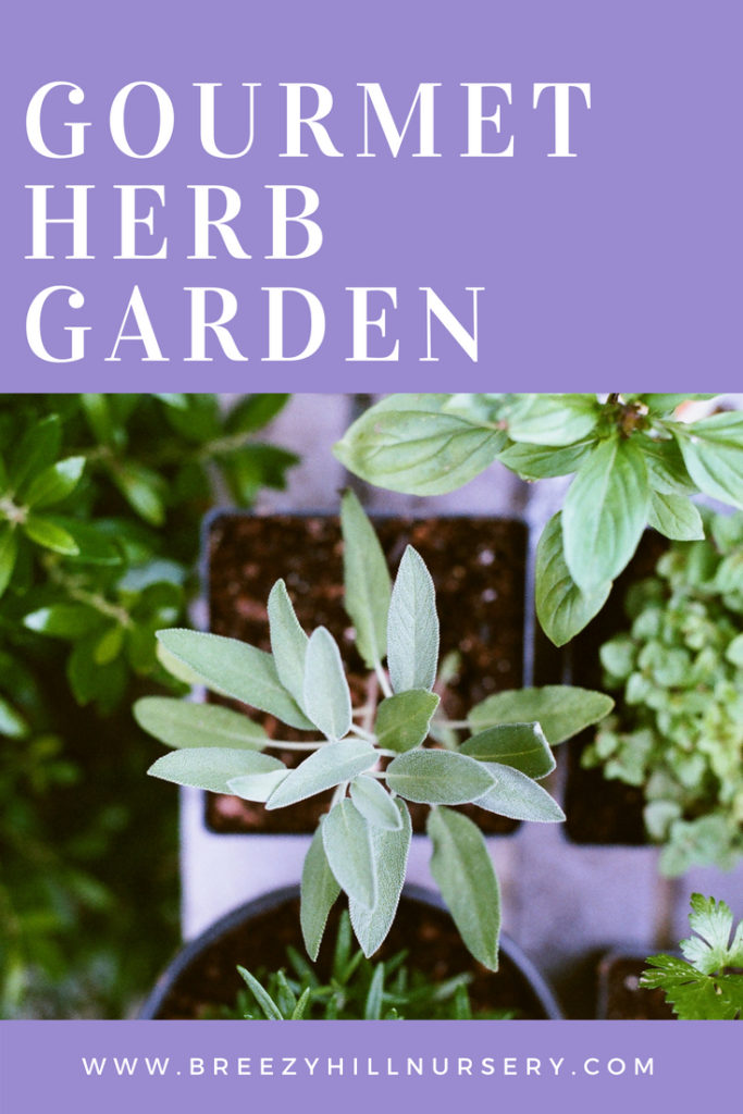 Gourmet Herb Garden