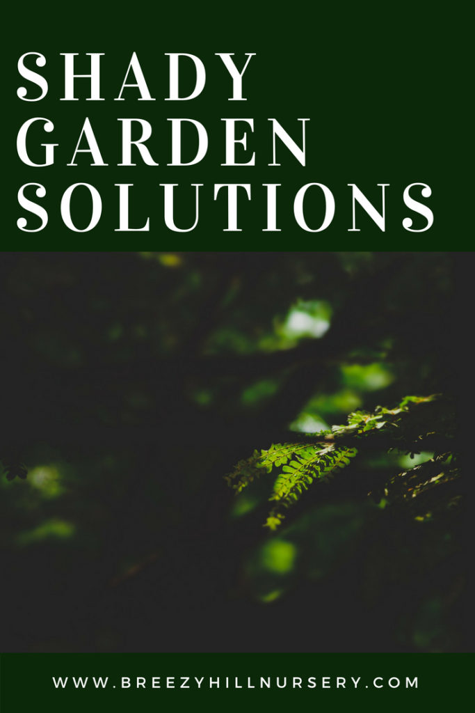 Shady Garden Solutions