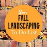 Fall-Landscape_Square