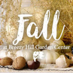 Fall at GC_Square