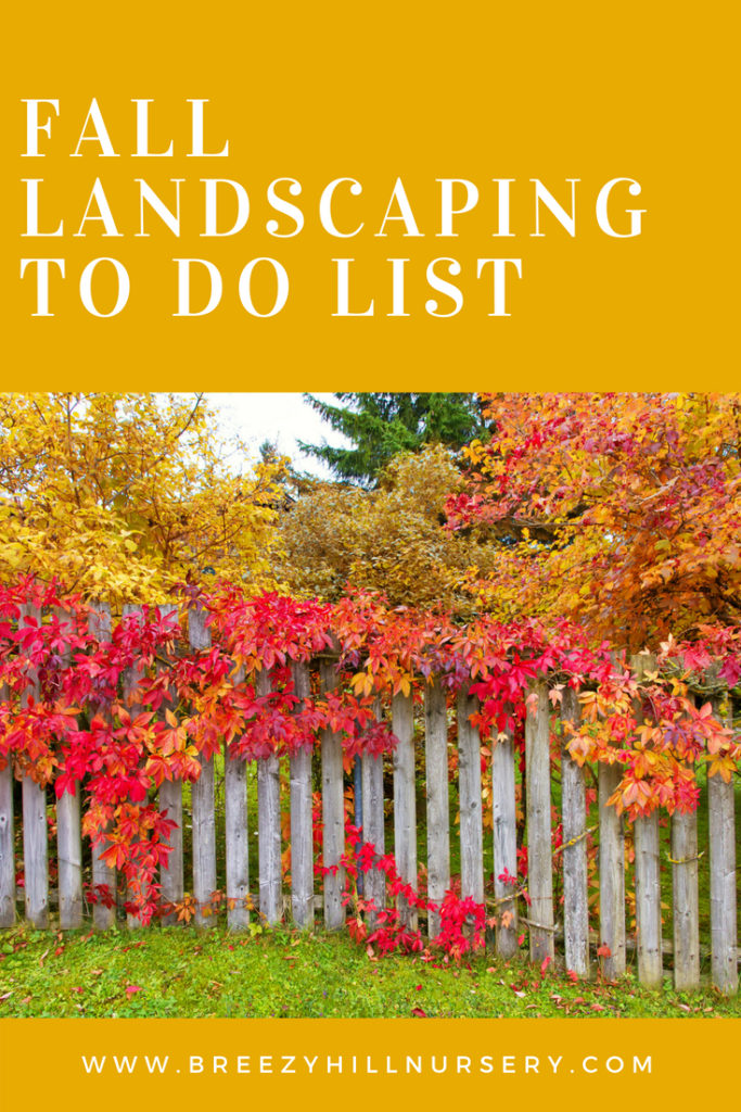 Fall Landscaping to do list