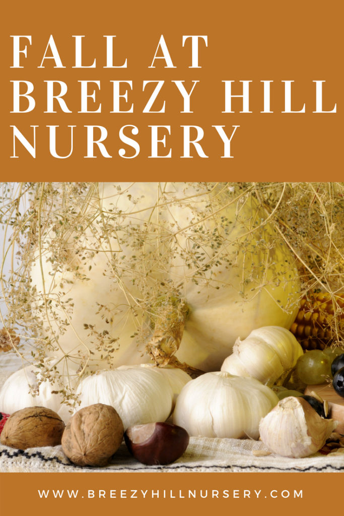 Fall Season at Breezy Hill