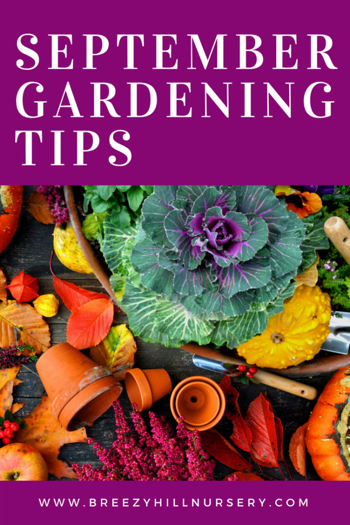 September Gardening Tips