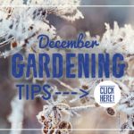 GardeningTips_Winter