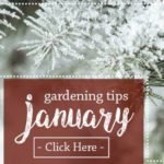 January-Gardening-Tips