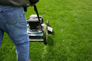 Mowing editedweb