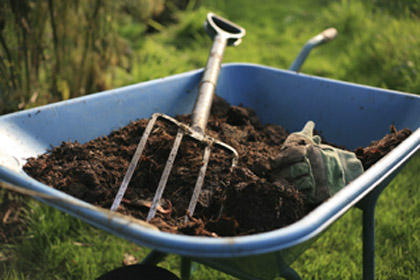 Mulch & Wheelbarrow