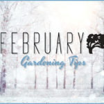 February Gardening Tips