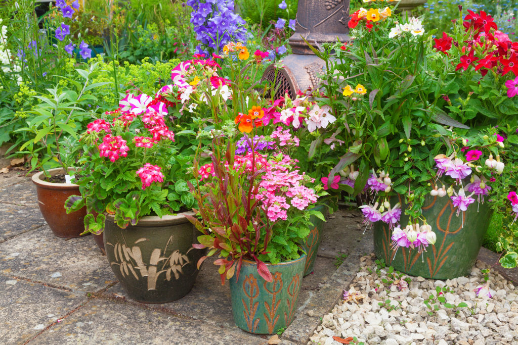 Containers filled with colorful plants.