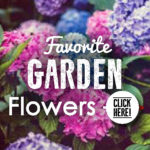 Favorite Garden Flowers