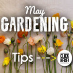 May Garden Tips