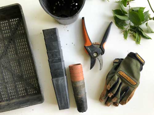 Planting Tools