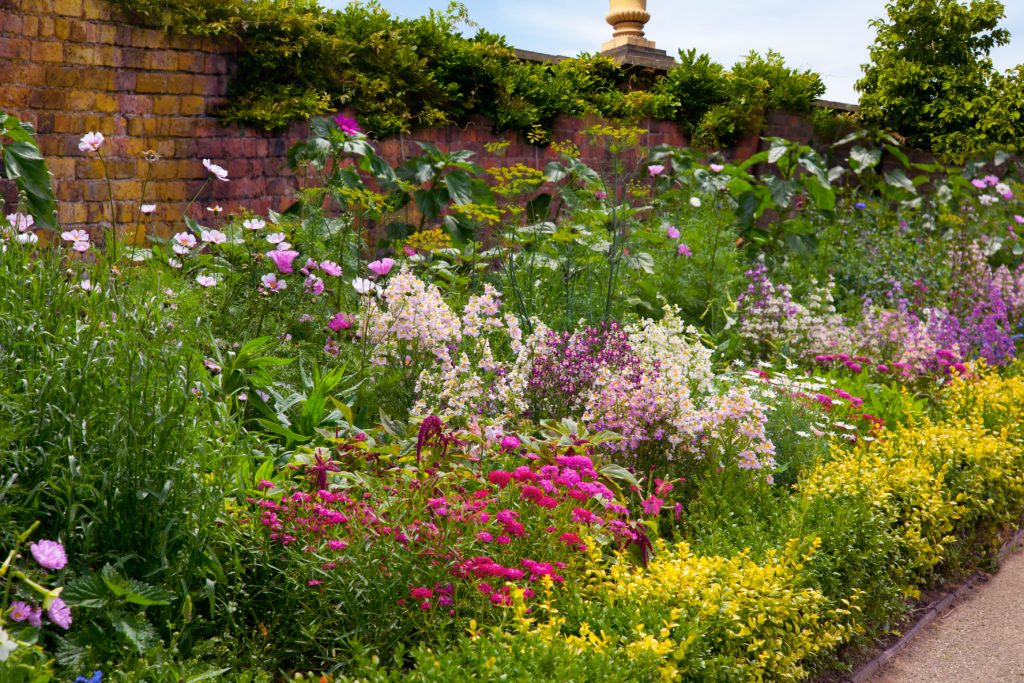 English Herbaceous Garden Border