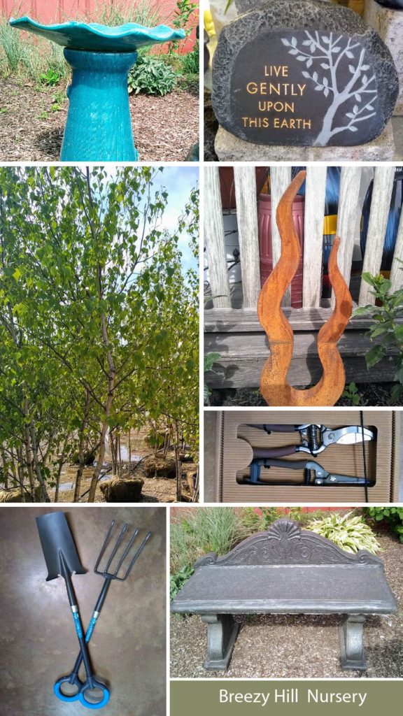 Father's Day Gift Guide at Breezy Hill Nursery