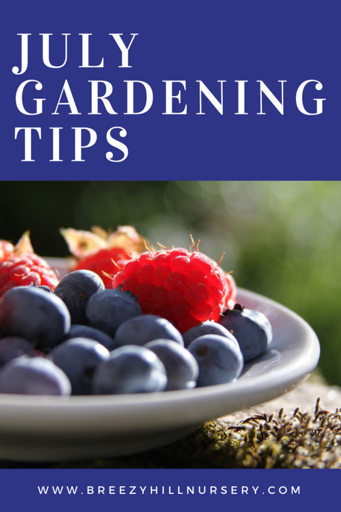 July Gardening Tips