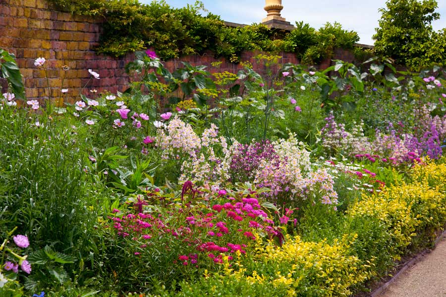 Perennial-Border