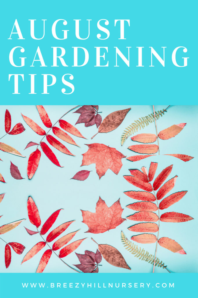 August Gardening Tips