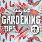 August-Gardening-Tips