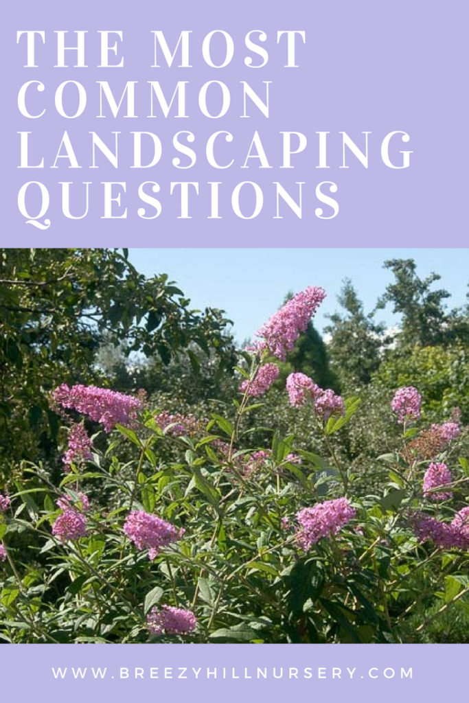 The Most Common Landscaping Questions