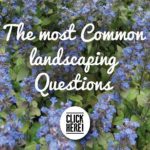 The-Most-Common-Landscaping-Questions