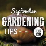 Sept-Tips-Square-2018