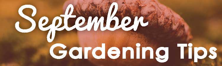 September-Gardening-Tips--web