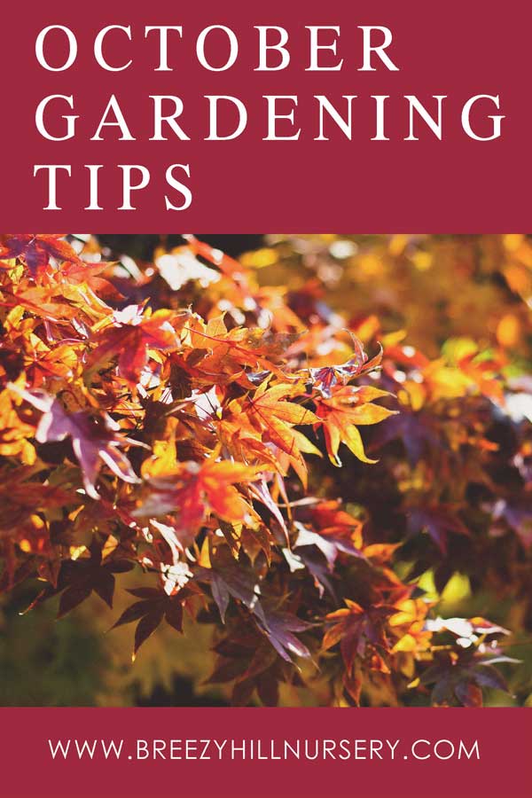 2018-October-Gardening-Tips--web