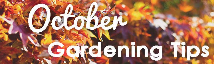 October-Gardening-Tips---web