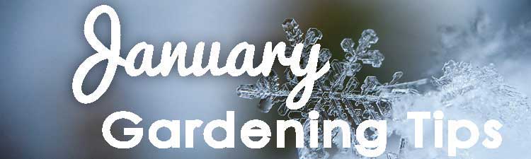 January-Gardening-Tips-blog--banner----web