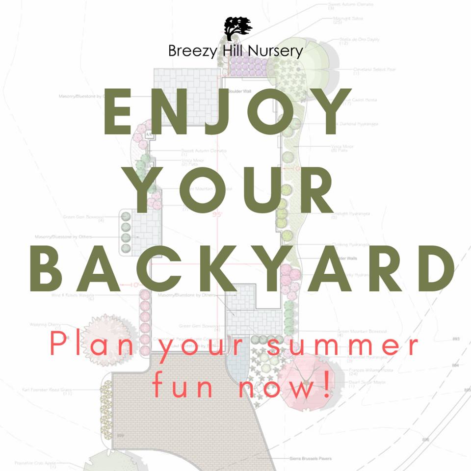Plan your backyard