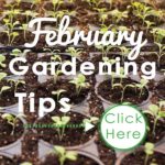 February-2019-Tips-Square---web