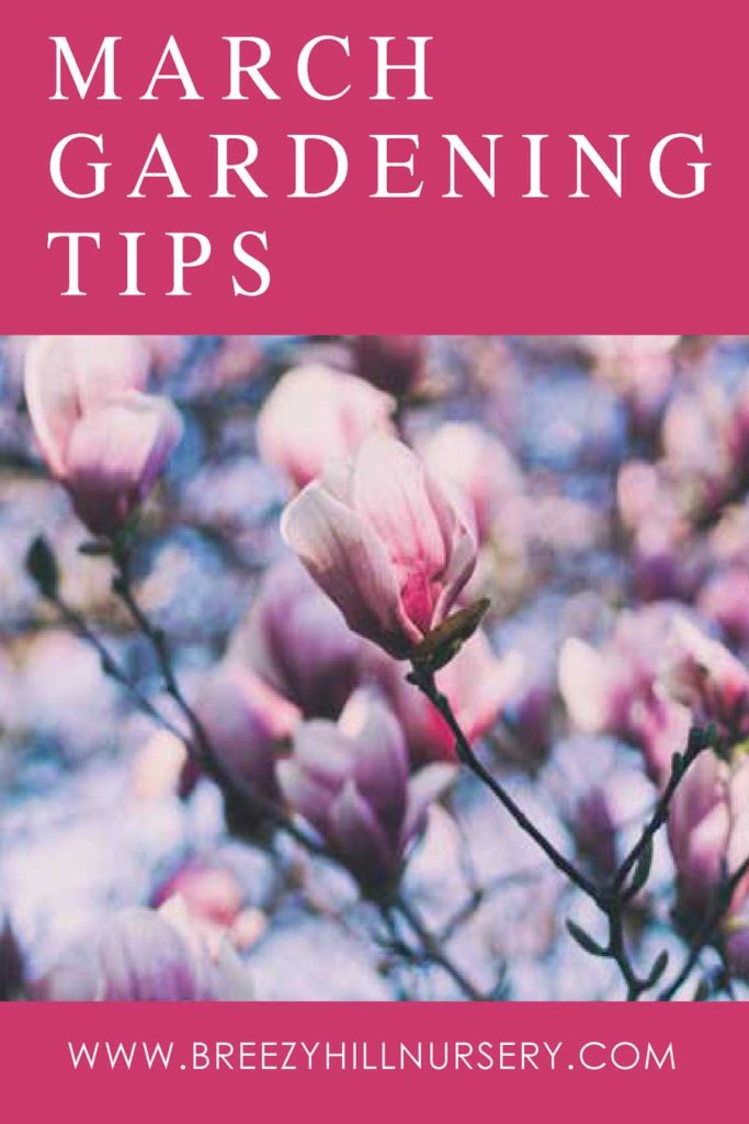 March-2019-Gardening-Tips---web