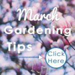 March-2019-Tips-Square---web