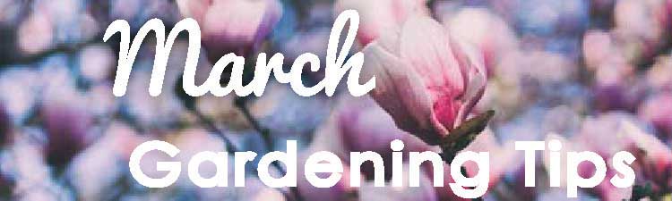 March-Gardening-Tips-blog-banner-2019----web