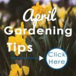 April-Gardening-Tips-2019-Tips-Square---web
