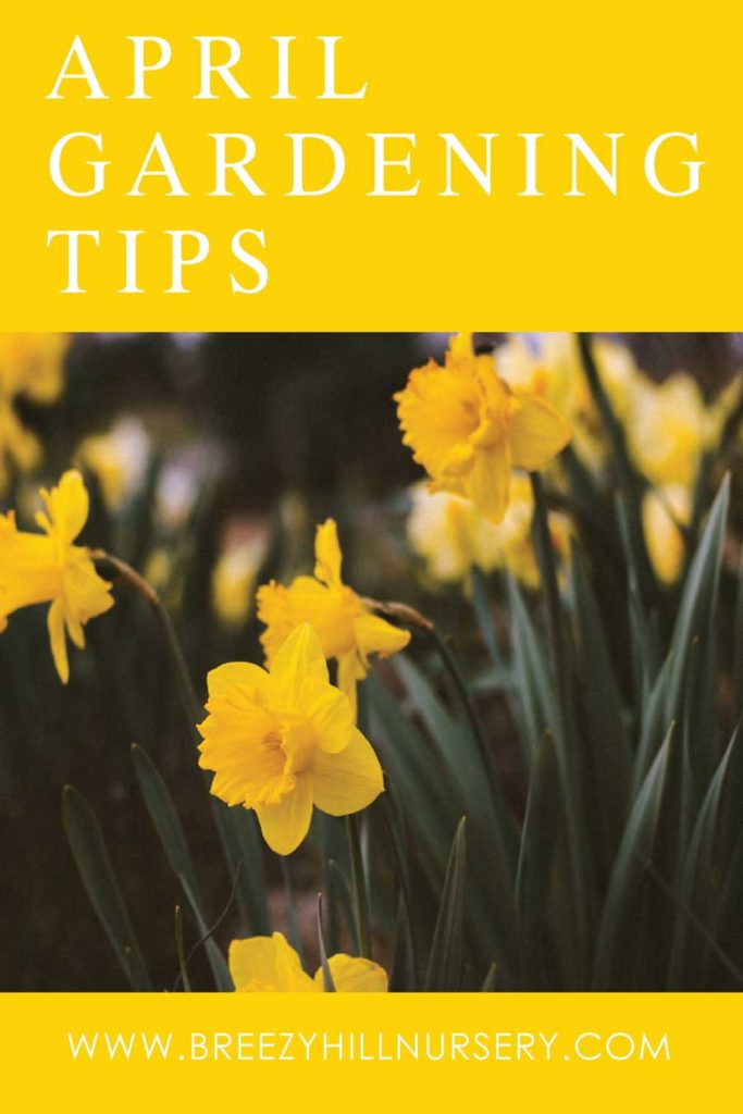 April-Gardening-Tips-2019---web