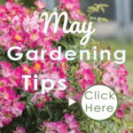 May Gardening Tips