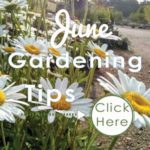 June-2019-Gardening-Tips-Square---web