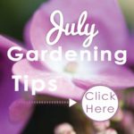 July-Gardening-Tips-2019--small-square---web